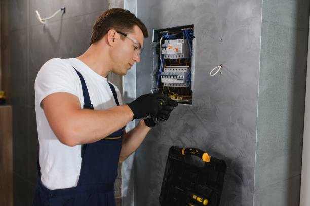 Best Ceiling Fan Installation Electrician  in Hamshire, TX